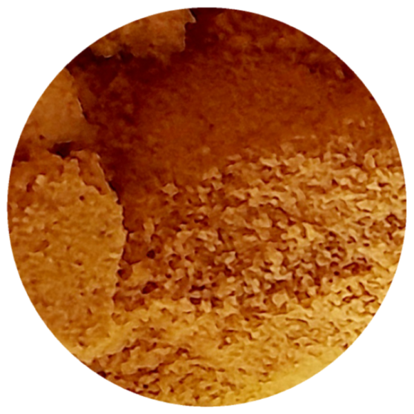 Kurkuma prah Kurkuma prah